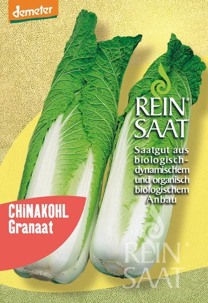 ko025_cinska kapusta_granaat